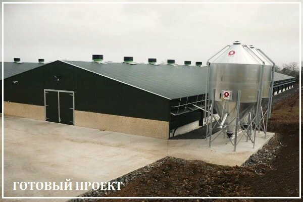 Этапы возведения птицефабрики от завода ВелесТент-брн